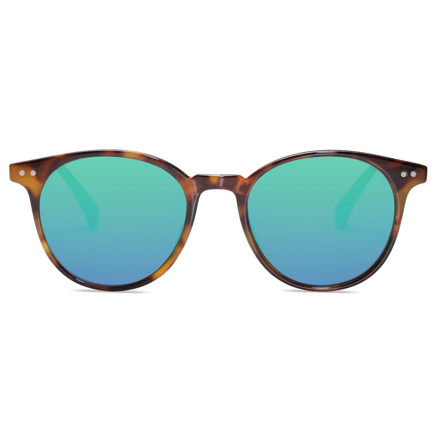 Small Round Classic Polarized Sunglasses for Women Men Vintage Style UV400 Lens SJ2113